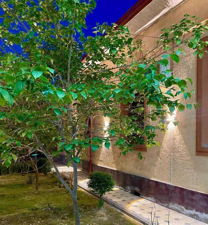 Amor Fati Tashkent Exterior photo
